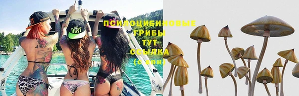 эйфоретик Абаза