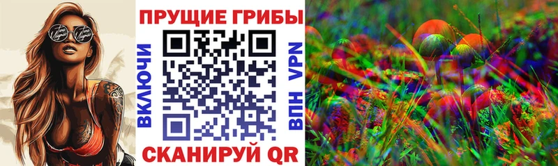 Псилоцибиновые грибы Psilocybine cubensis  Судогда 